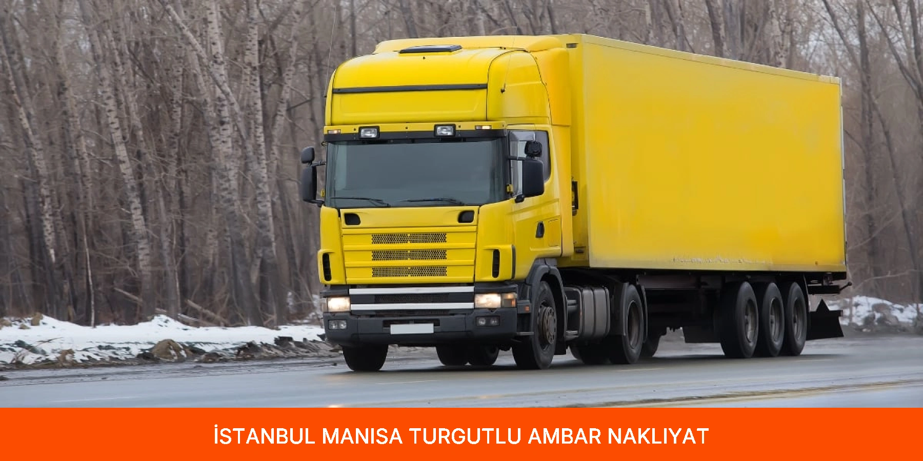 Turgutlu Ambar